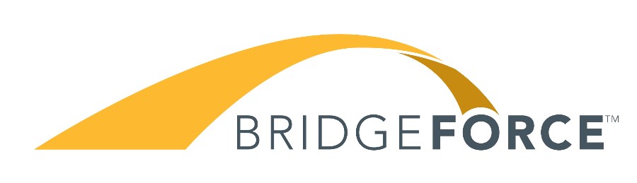 Bridgeforce Financial 