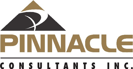 Pinnacle Consultants Inc