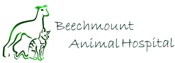 Beechmount Animal Hospital