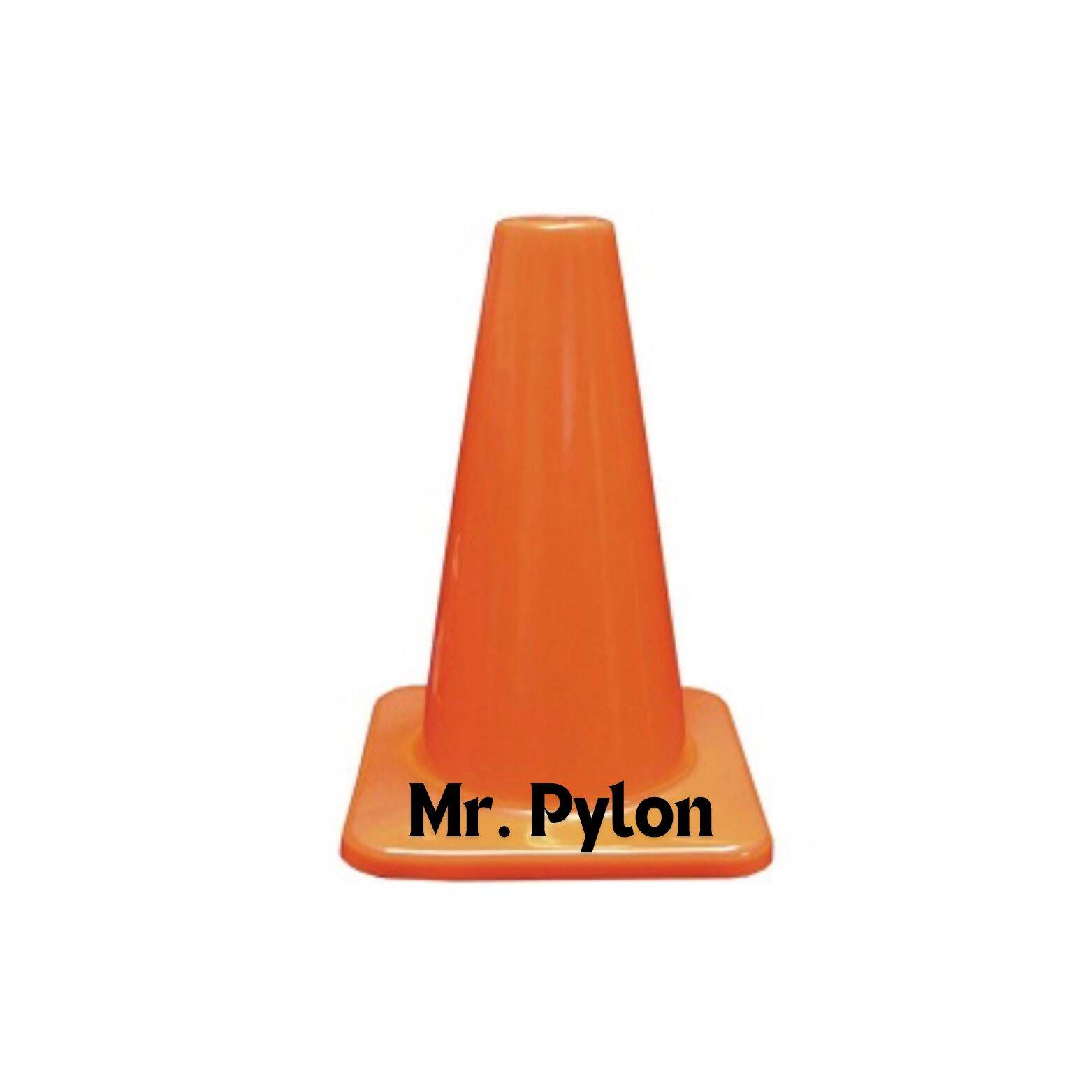 Mr. Pylon