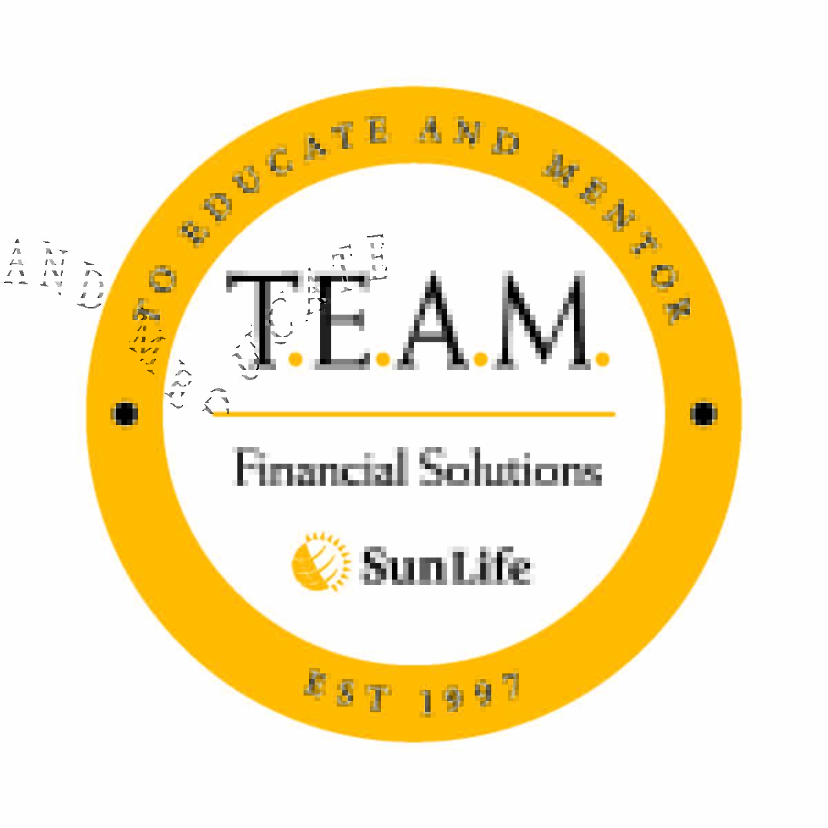 T.E.A.M Financial Solutions