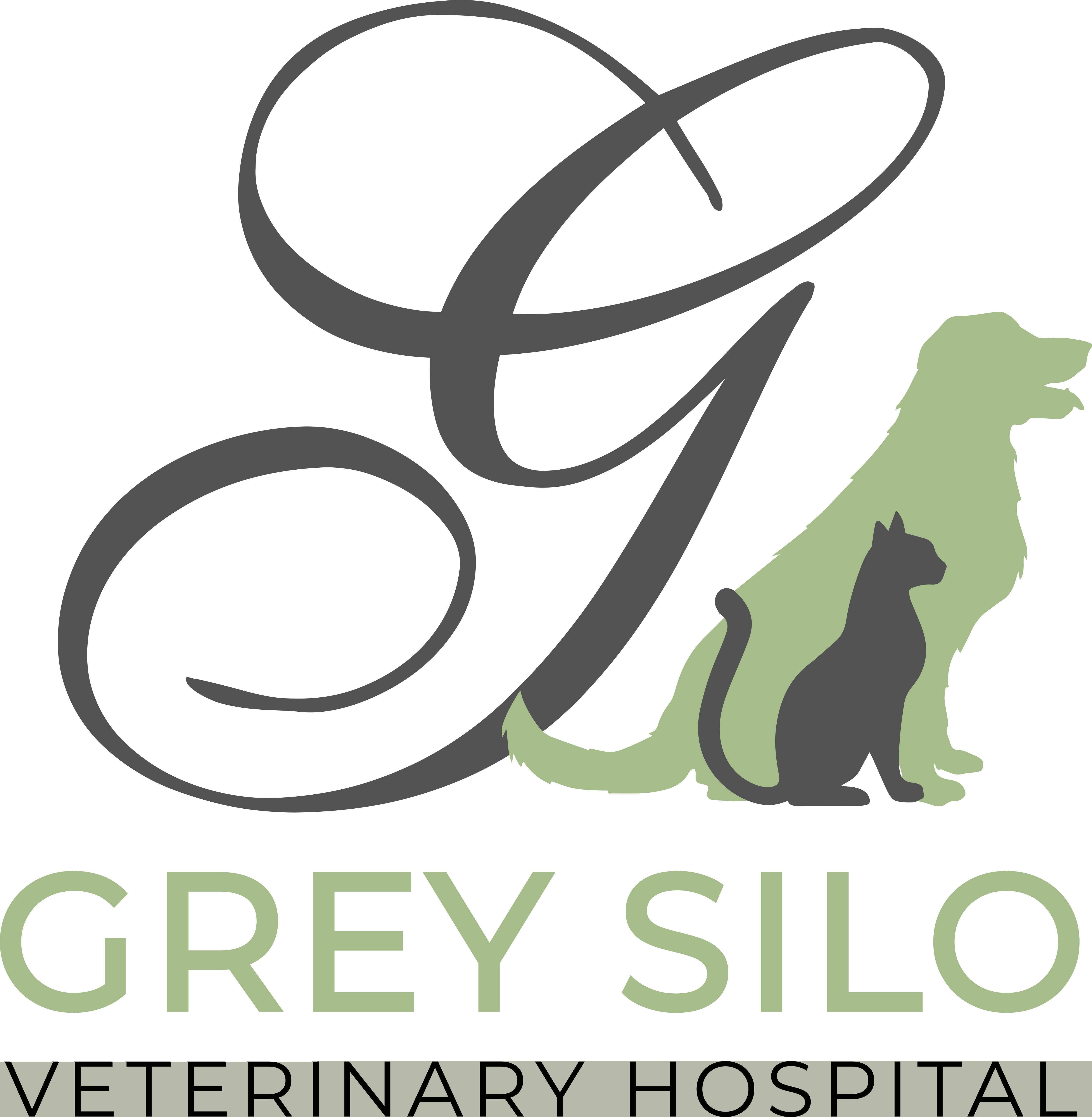 Grey Silo Veterinary Hospital